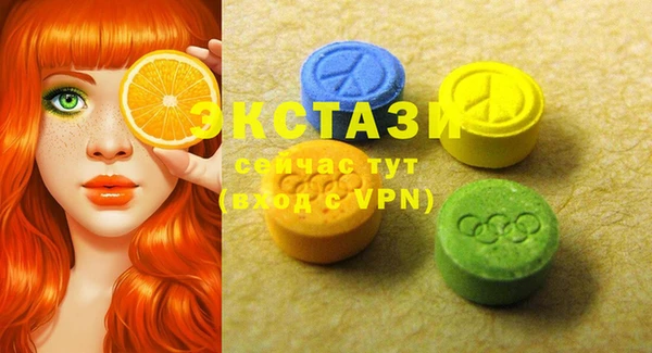 соль ск Рославль